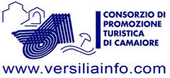 Consorzio Promozione Turistica Versiliainfo