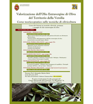 Valorizzazione dell'Olio Extravergine di Oliva del Territorio della Versilia